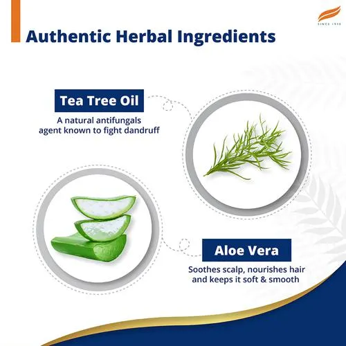 Himalaya Anti-Dandruff Shampoo - With Tea Tree Oil Aloe Vera For All Hair Types 180 ml - Image 4