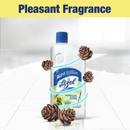 Lizol Disinfectant Surface & Floor Cleaner - Pine 500 ml - Image 9