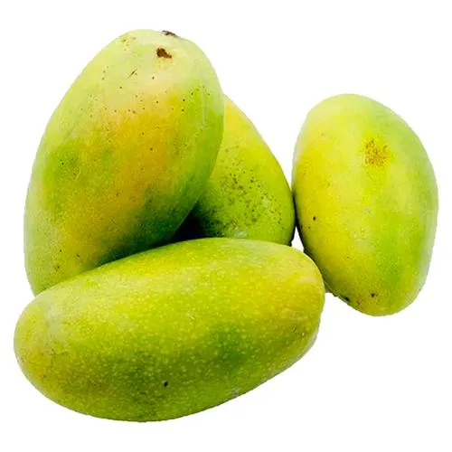 Fresh Mango 1 kg Approx