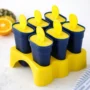 6-Piece Reusable Kulfi Popsicle Mould Set